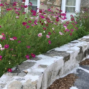 Meet your Posher, Chi